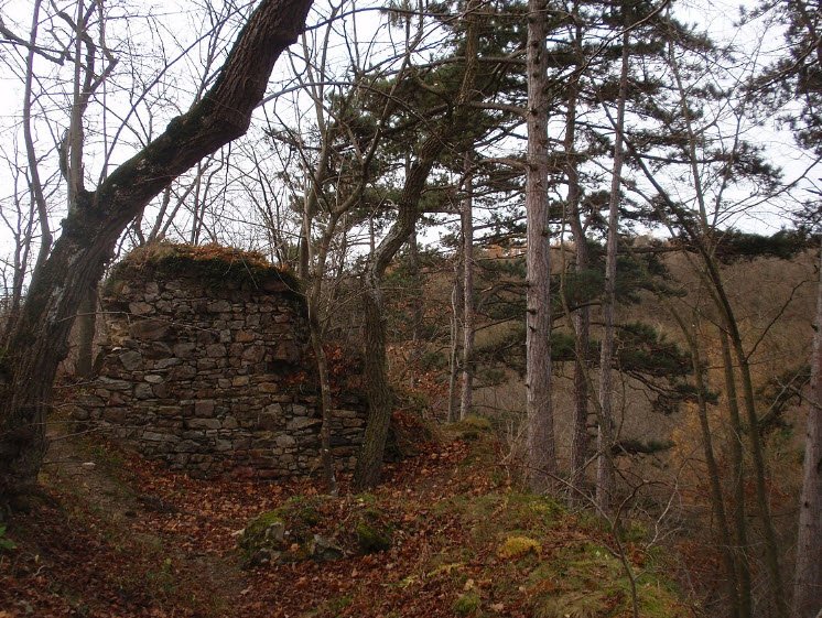 Zřícenina Hradu Lapikus, Czech Republic (Czechia)